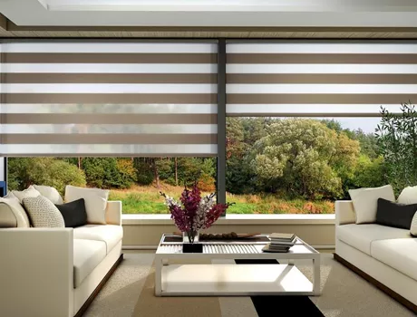 Custom Zebra Blinds