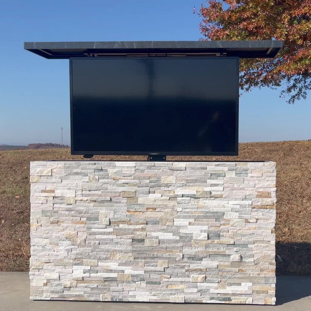 Cabinet TV Lift